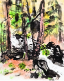 Janské Lázně  (#40)